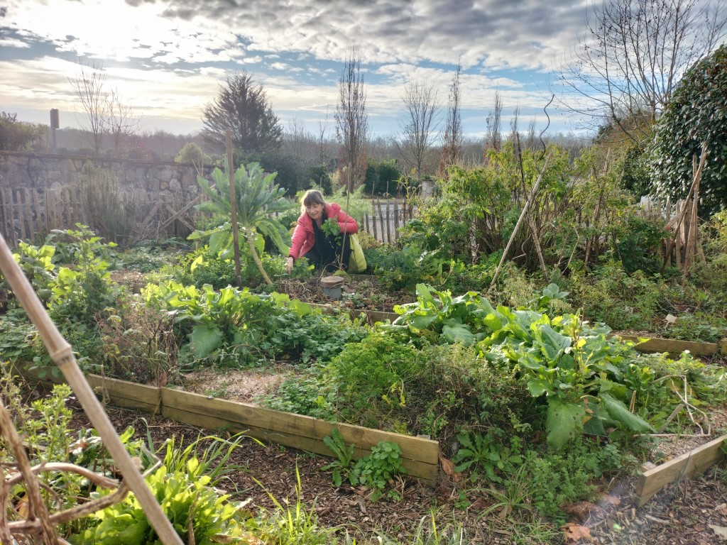 permaculture